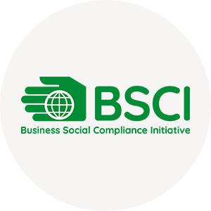 BSCI Logo Vector
